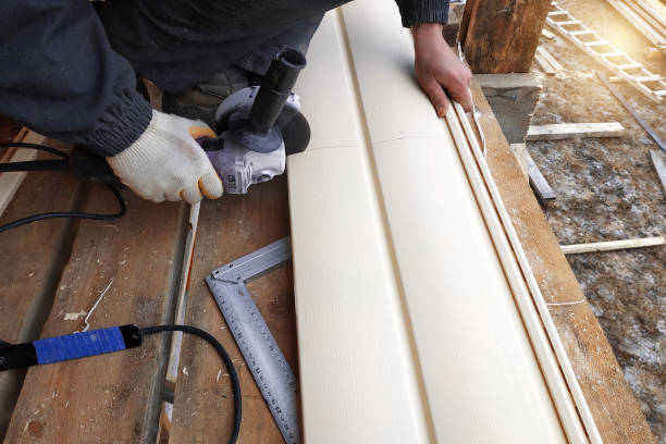 Best Siding Removal and Disposal  in Burlington, CO